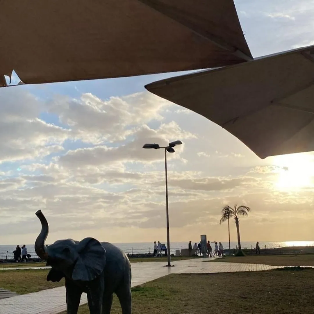 דירה Studio Atlantic View Costa Adeje ספרד